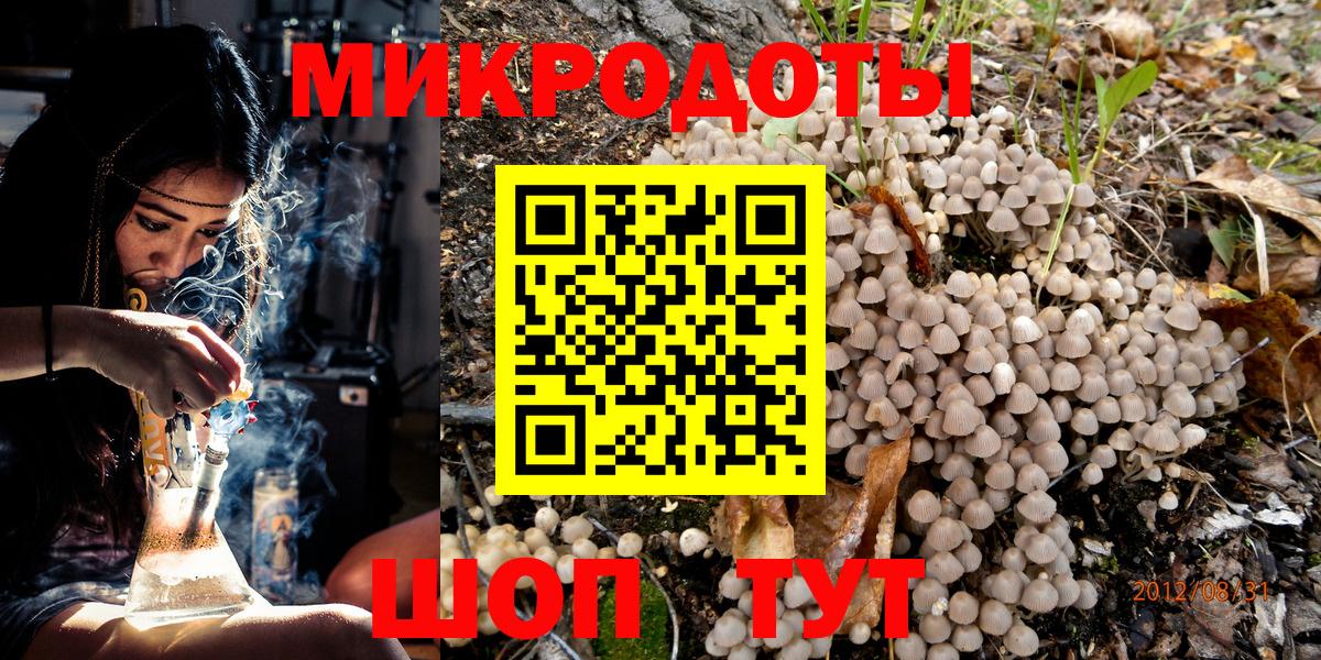Галлюциногенные грибы Cubensis Павлово